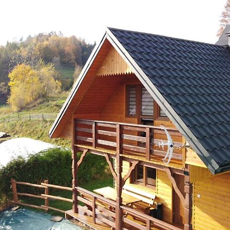 Domek Dzikusowka 1 Bieszczady Solina Polanczyk Zawoz Cisna Gorzanka Eksteriør bilde